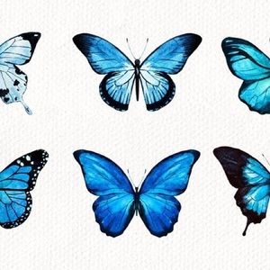 Meet your Posher, Celia